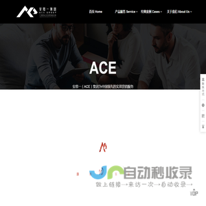 安思一（ACE）集团