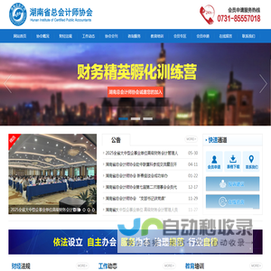 湖南省总会计师协会