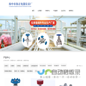 扬中市海正电器仪表厂