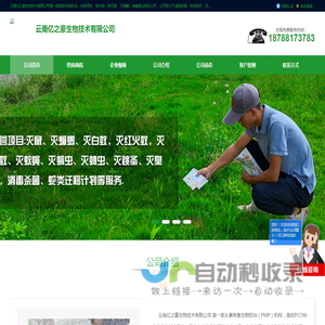 昆明白蚁防治