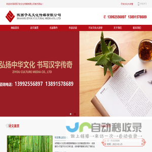 陕西子友文化传媒有限公司