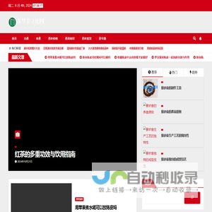 森梦茶文化网