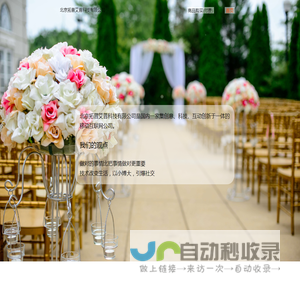 北京拓普艾普科技有限公司