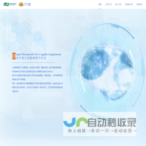 浙江脑动极光医疗科技有限公司