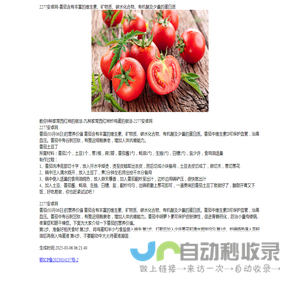 2277安卓网