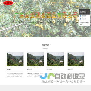 广东金龙洞泉酒业有限公司