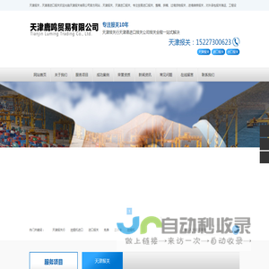 天津港报关公司