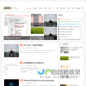 成功志,成功日志,网页网站技术,ASP,PHP,JS,CSS