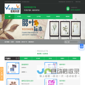 生物玻片