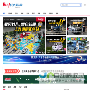 买车网
