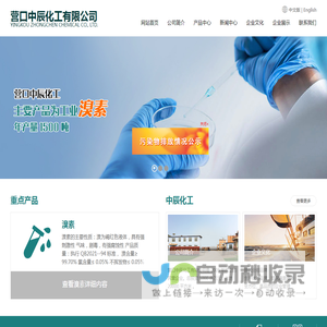 营口中辰化工有限公司