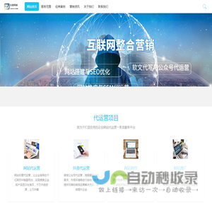 网络运营推广
