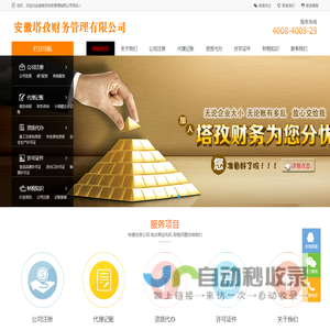 安徽塔孜财务管理有限公司