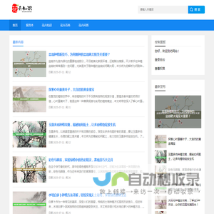 建顺网