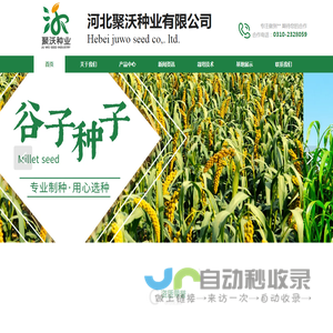 首页,谷子种子,甘蓝种子,聚沃种业