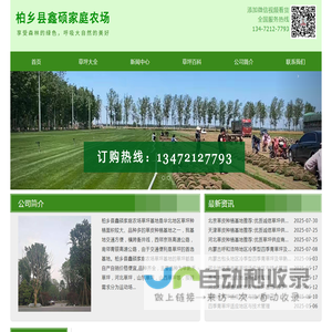 河北省石家庄市栾城区草坪种植基地