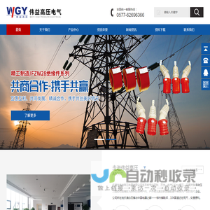 乐清市伟益高压电气有限公司