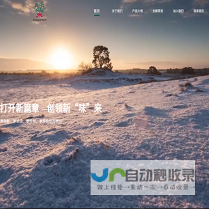 首页