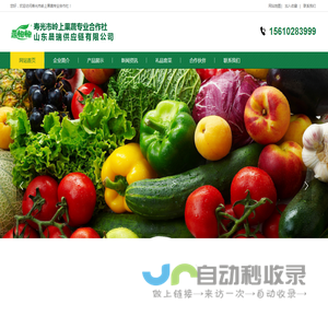 蔬饱饱