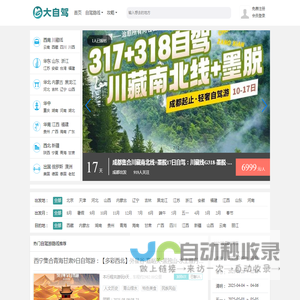 大自驾网