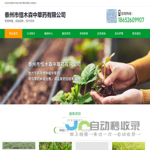 泰州市恒木森中草药有限公司
