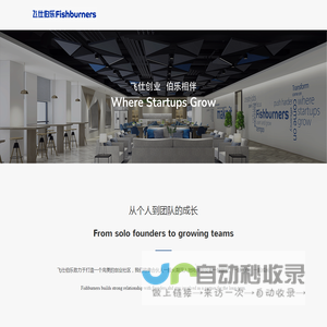 飞仕澳中控股 (杭州) 有限公司