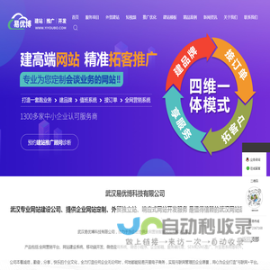 武汉网站建设公司