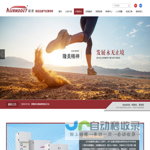 油雾过滤器价格