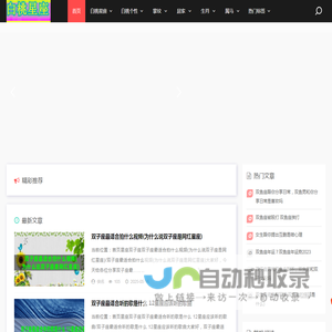 白桃星座网