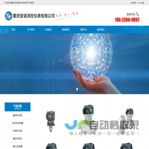 皮带秤仪表