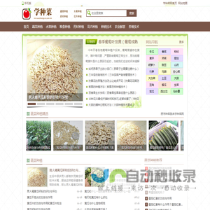 学种菜网