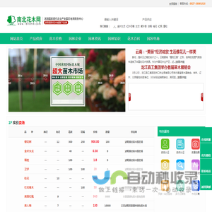 南北花木网