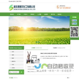 湖北速普尔化工有限公司