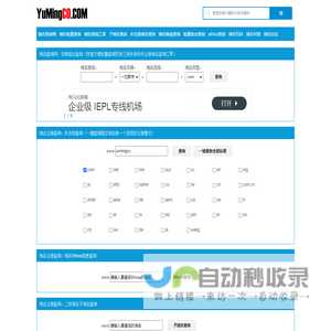 域名批量查询,域名查询工具