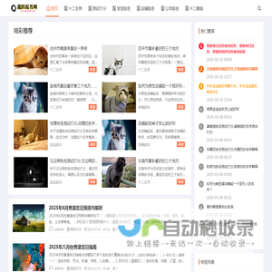 龍跃起名网