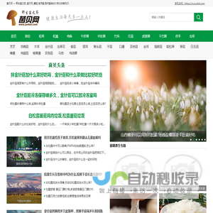 野生菌之家