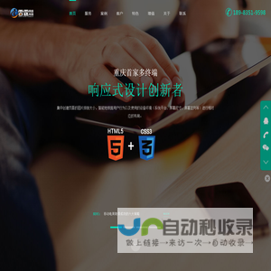 重庆市雷霆网络科技有限公司