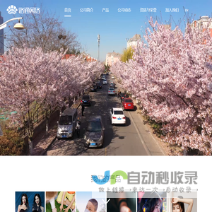 路通网络