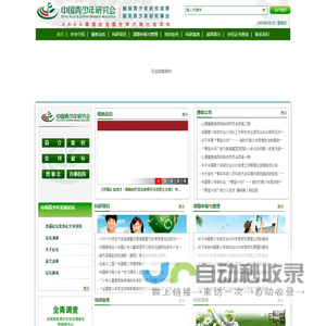 中国青少年研究会