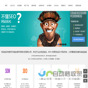 专业seo整站优化