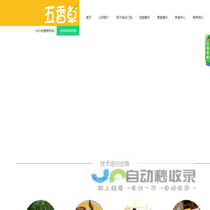 五香草现捞