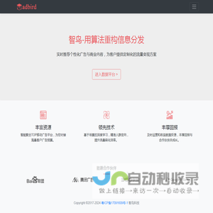 智鸟网