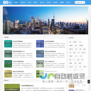大发SEO技术分享