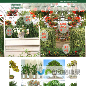 成都植物租摆