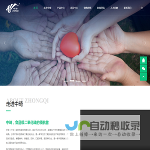 中琦（广东）硅材料股份有限公司