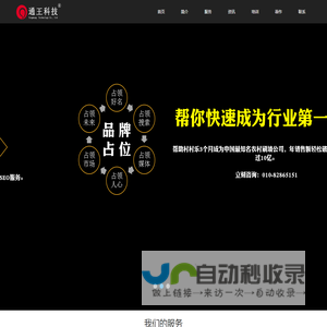 SEO·品牌推广·网络营销策划·王通