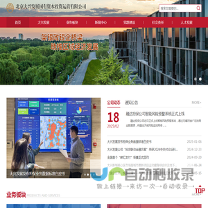 北京大兴发展国有资本投资运营有限公司
