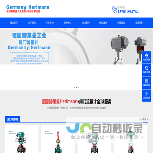 Herlmann赫莱曼阀门流量计