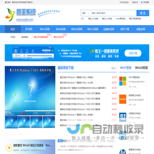 鹰王系统官网