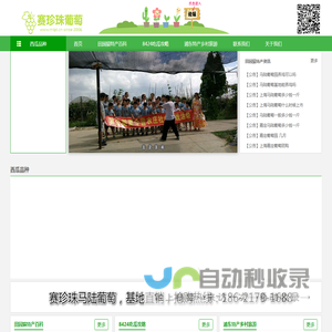 南汇8424西瓜网
